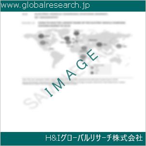 グローバルリサーチ調査資料のイメージ